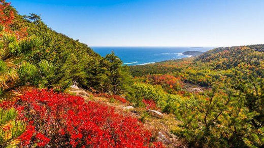Planning a Camping Trip to Acadia National Park? Here’s What You Need to Know. - gcioutdoor