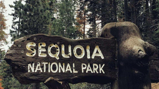 Find Forest Freedom on a Sequoia National Park Camping Trip