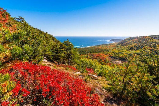 Planning a Camping Trip to Acadia National Park? Here’s What You Need to Know. - gcioutdoor