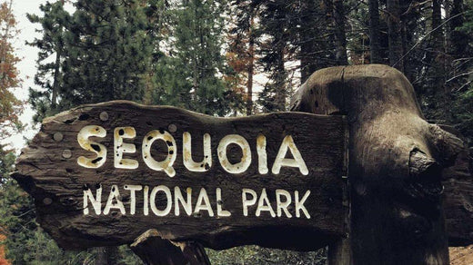 Find Forest Freedom on a Sequoia National Park Camping Trip