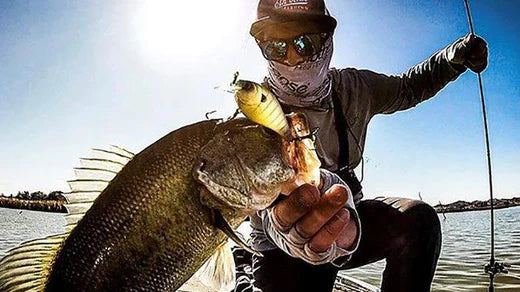 Fishing Through Quarantine