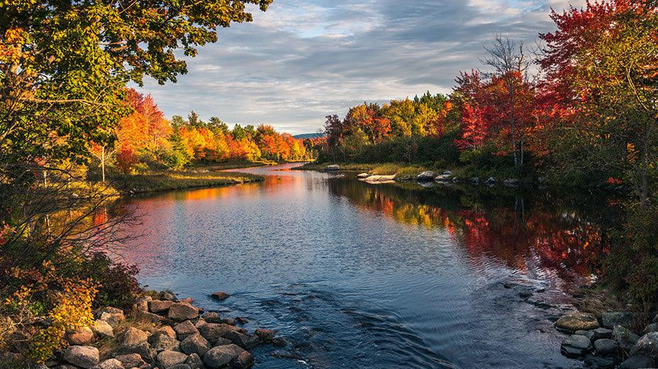 Hiking in Upstate New York: The Best Spots for Fall Foliage - gcioutdoor