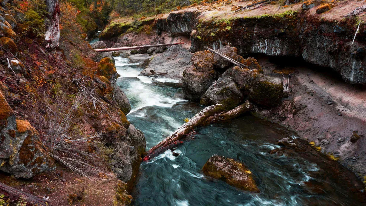 5 Great Campsites in The Rogue River-Siskiyou National Forest in Oregon