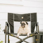 A pug laying in a black Freestyle Rocker XL chair. 